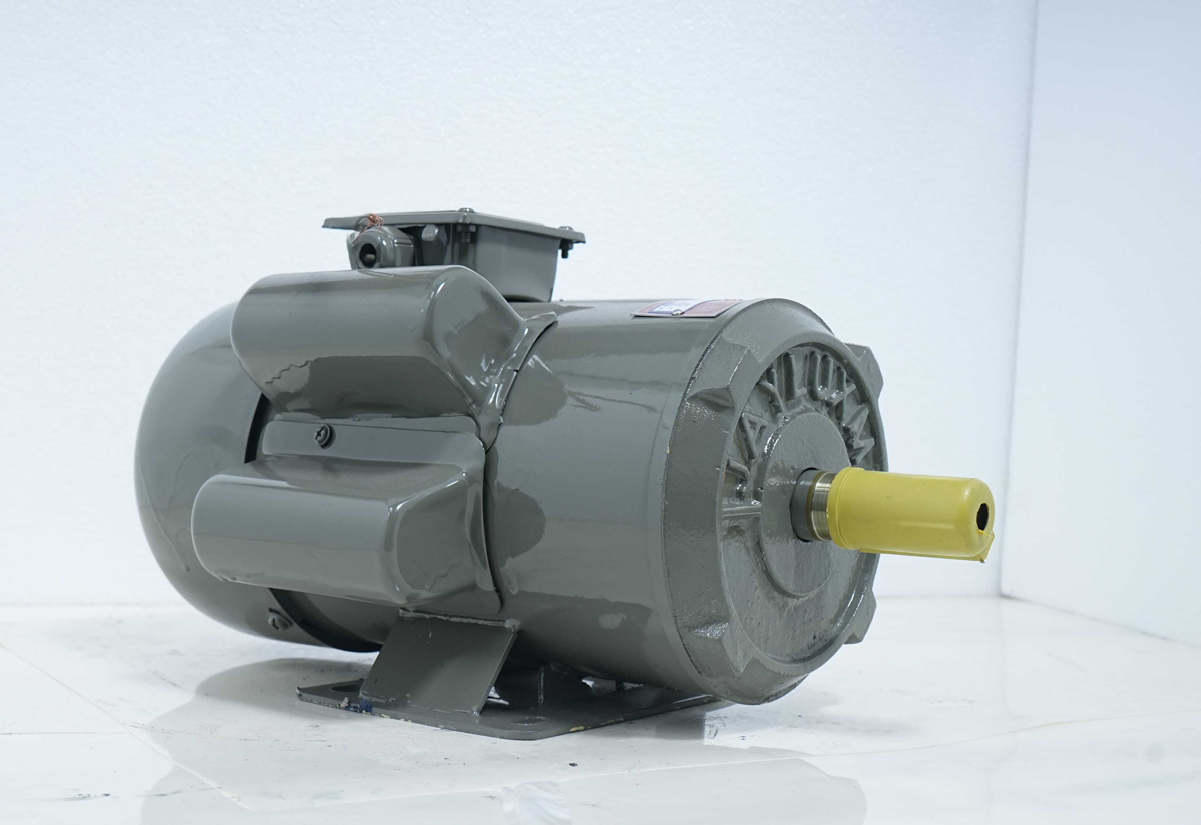 Single Phase 3 HP Motor (BI-3-P)